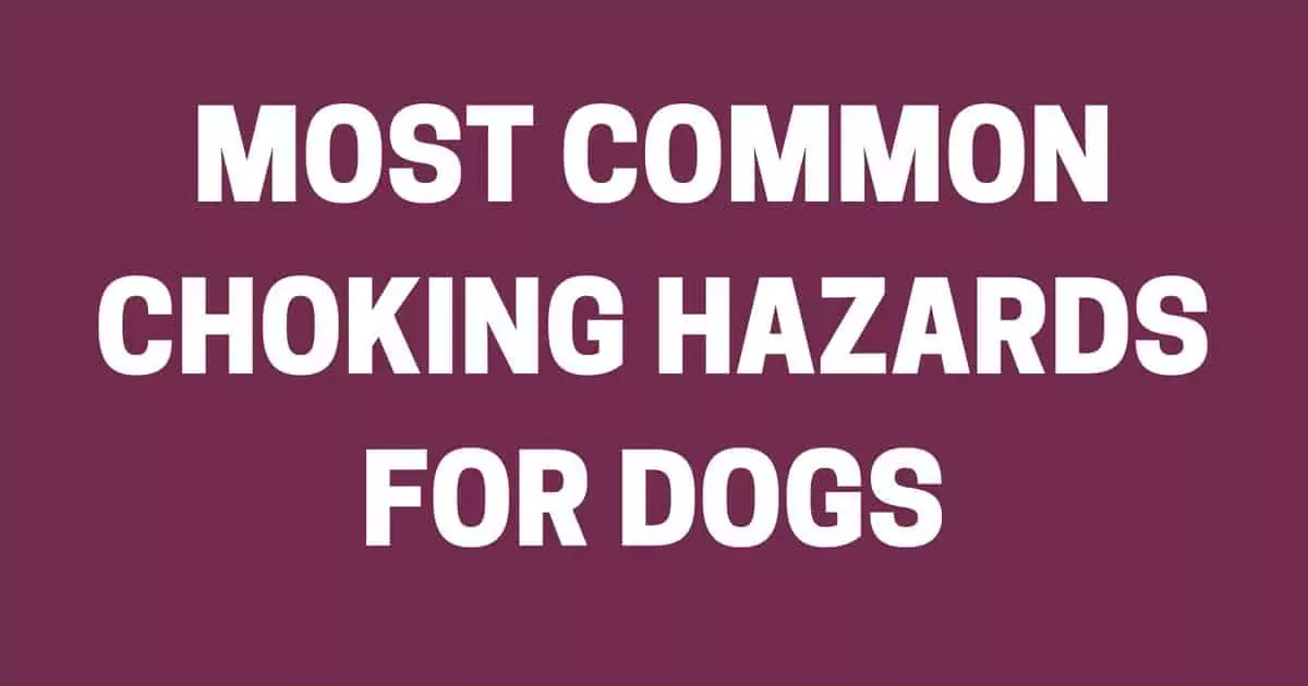 most common choking hazards for dogs