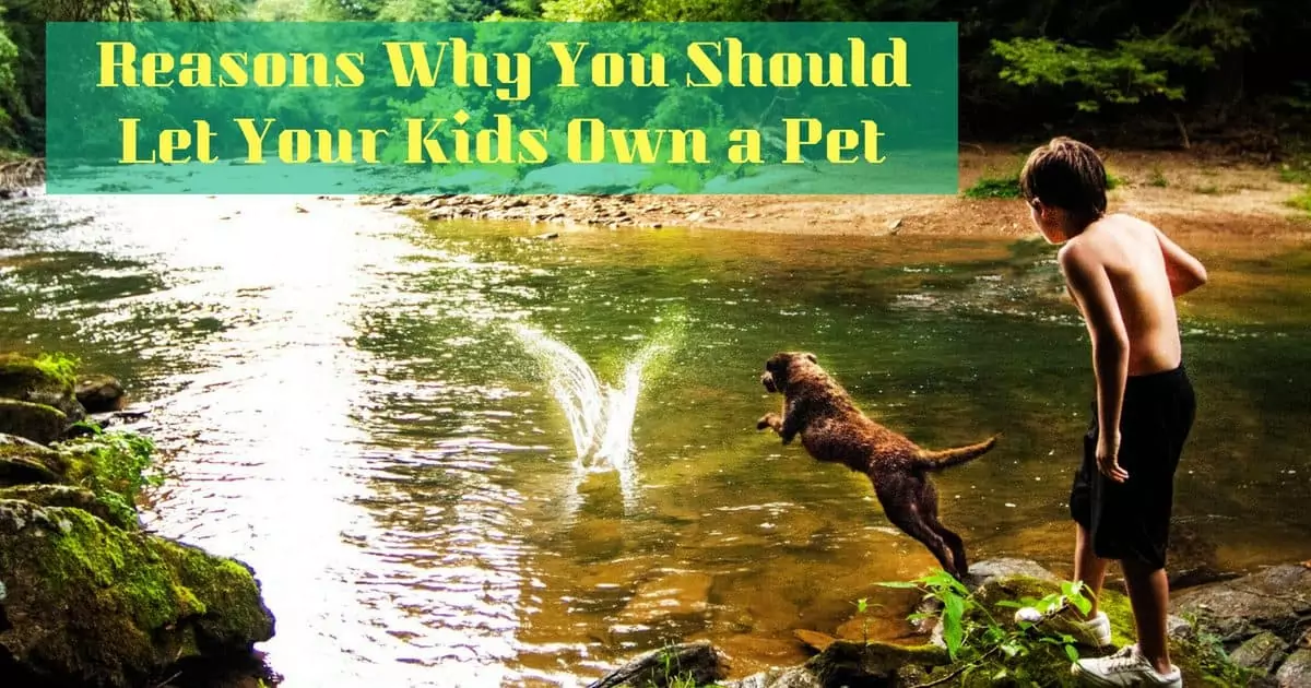 Reasons Why You Should Let Your Kids Own a Pet I Love Veterinary - Blog for Veterinarians, Vet Techs, Students