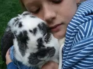 rabbit and a girl 
