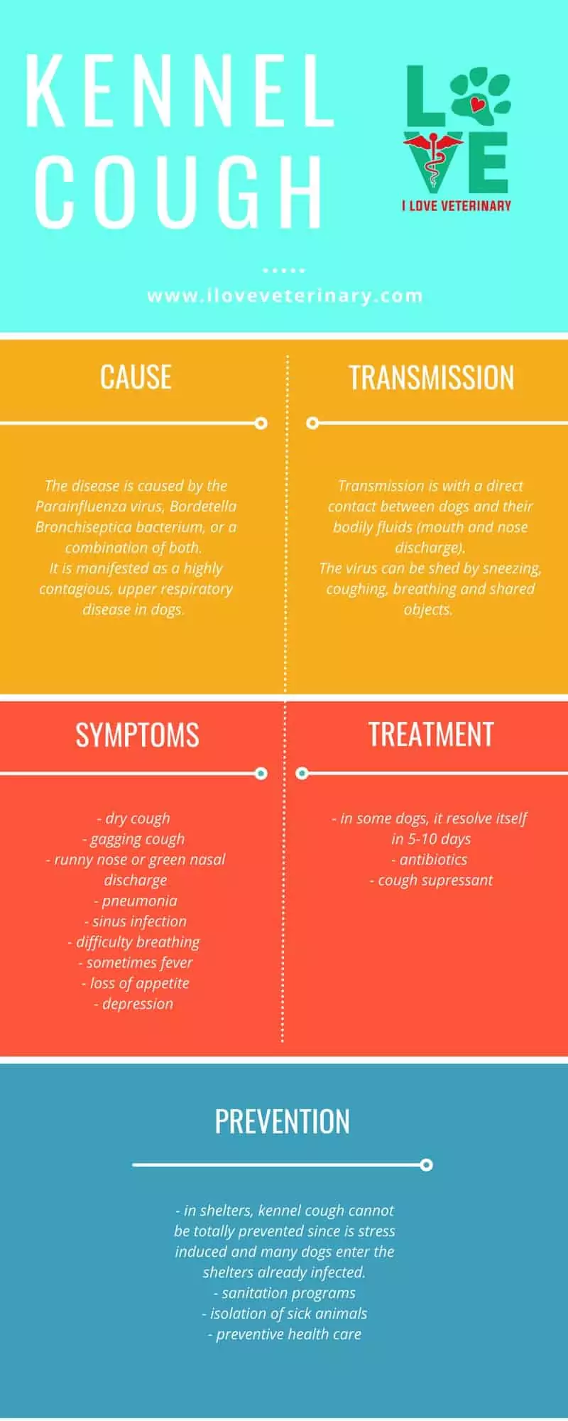 kennel cough infographic 