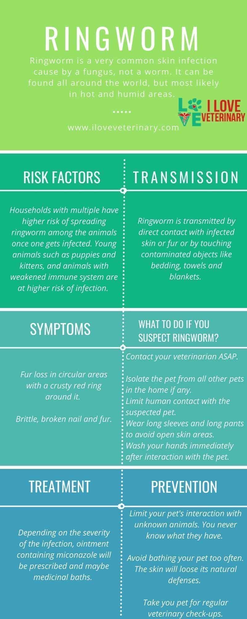 ringworm infection, dermatophytosis, pets
