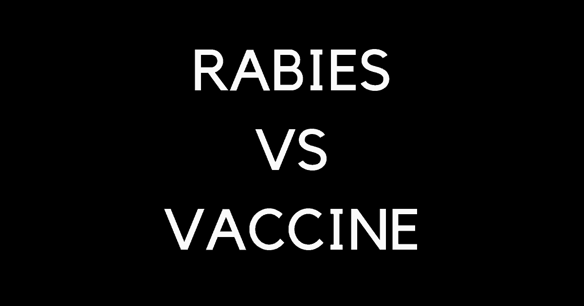 RABIES VS VACCINE 1 I Love Veterinary - Blog for Veterinarians, Vet Techs, Students