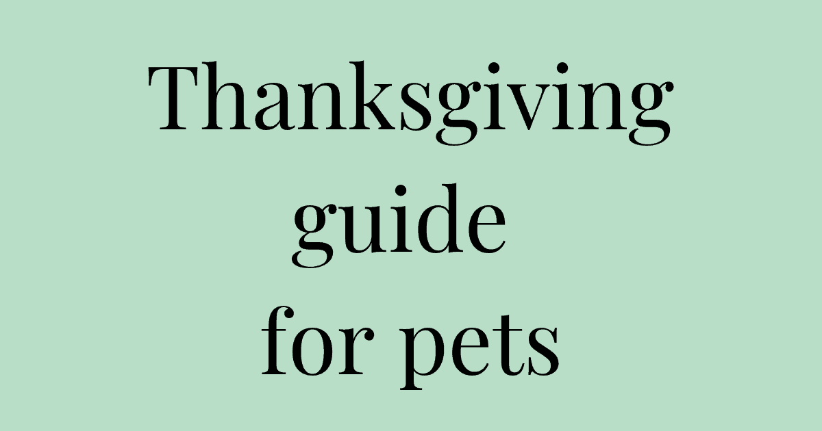 Thanksgiving guide for pets cover I Love Veterinary - Blog for Veterinarians, Vet Techs, Students