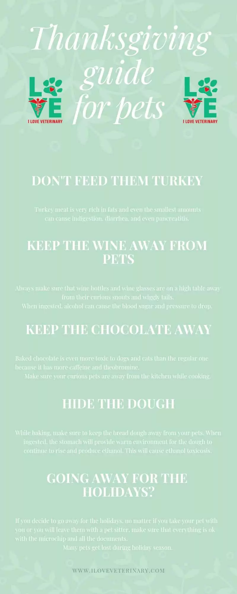 holiday, thanksgiving, pets, Thanksgiving guide for pets