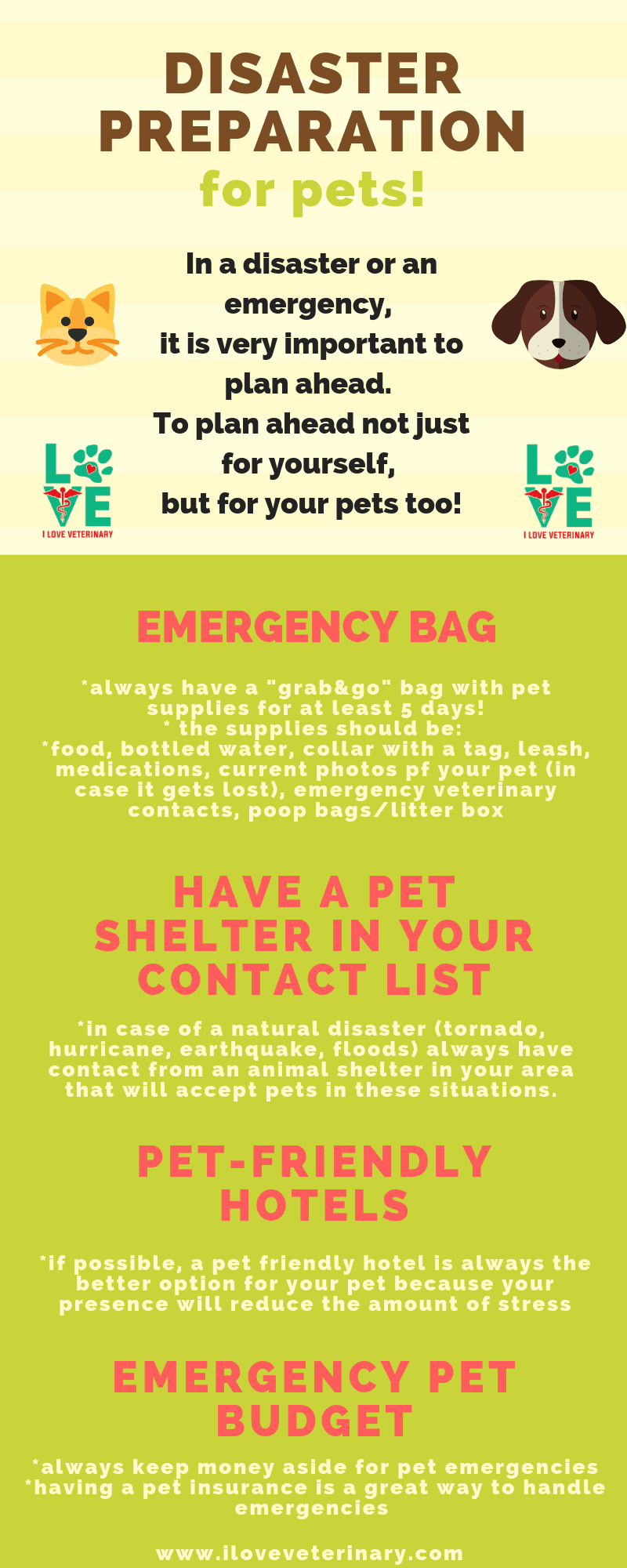 Disaster preparation for pets infographic