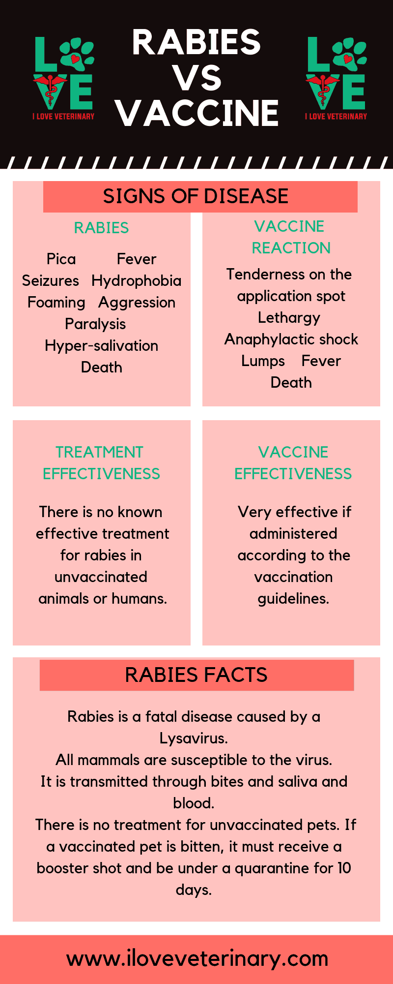 an infographic on rabies vs vaccine