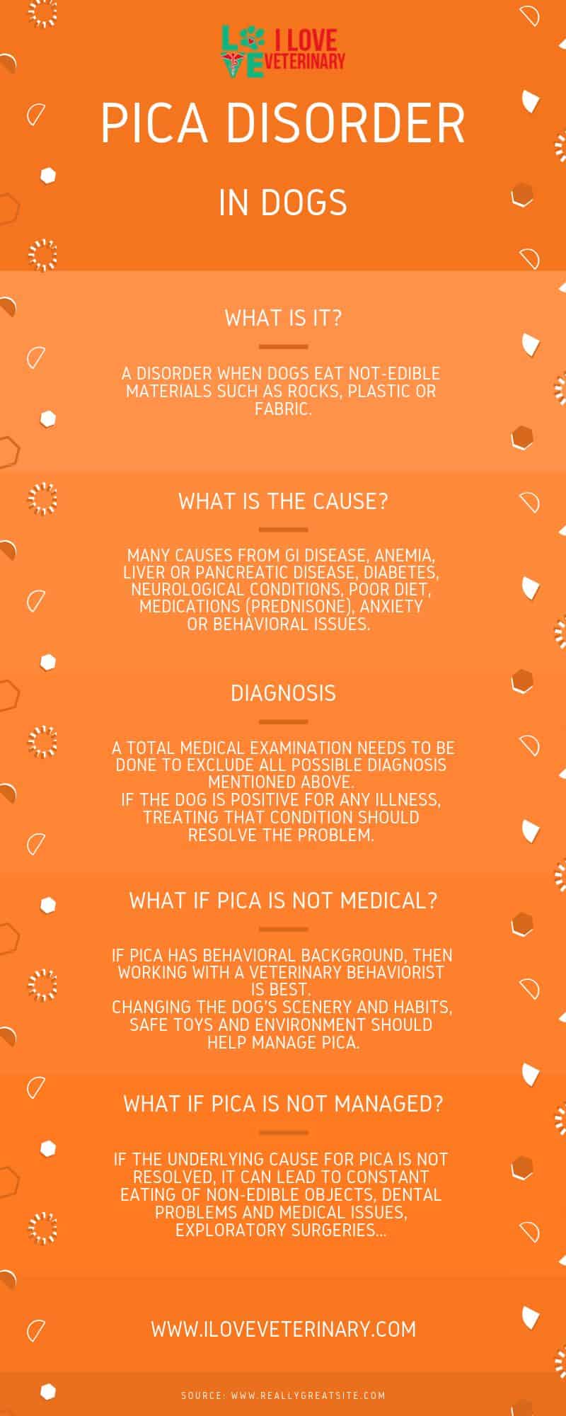 cause of pica disorder