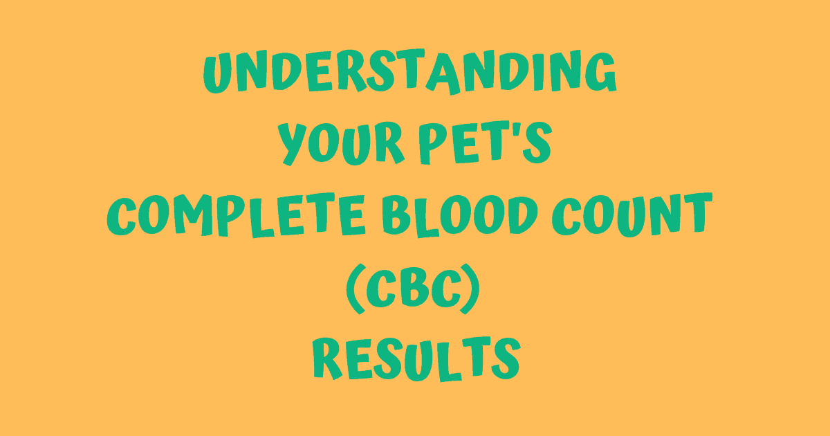 understanding your pet's cbc