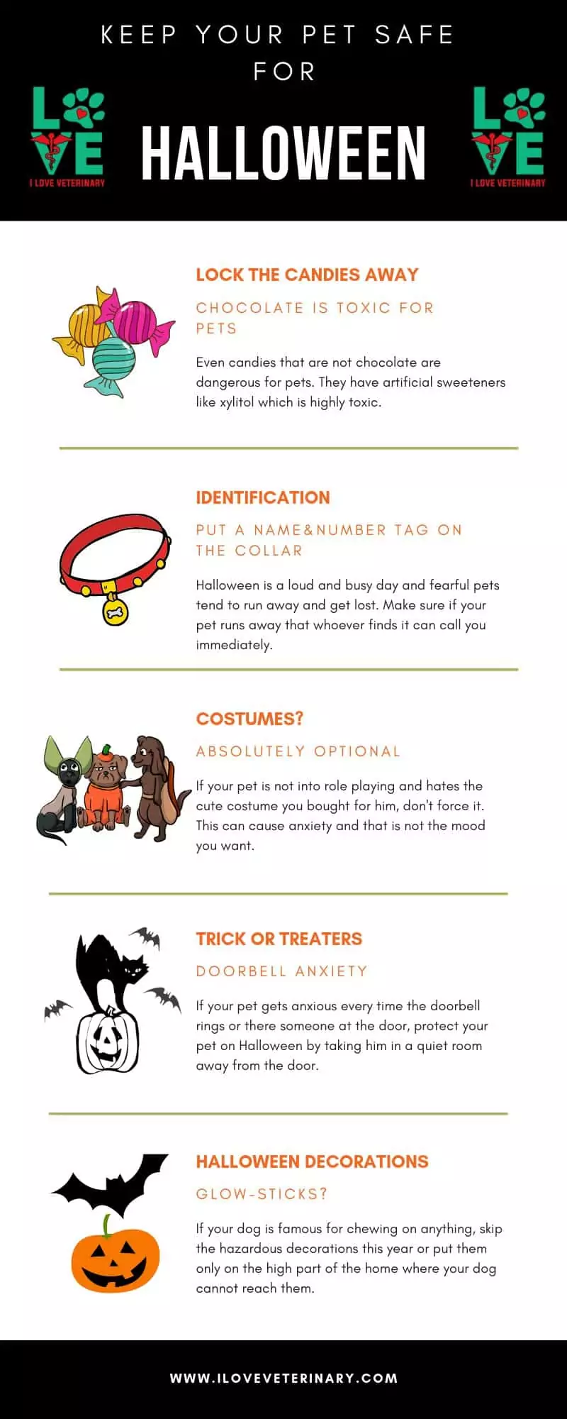 Keep your pet safe for Halloween