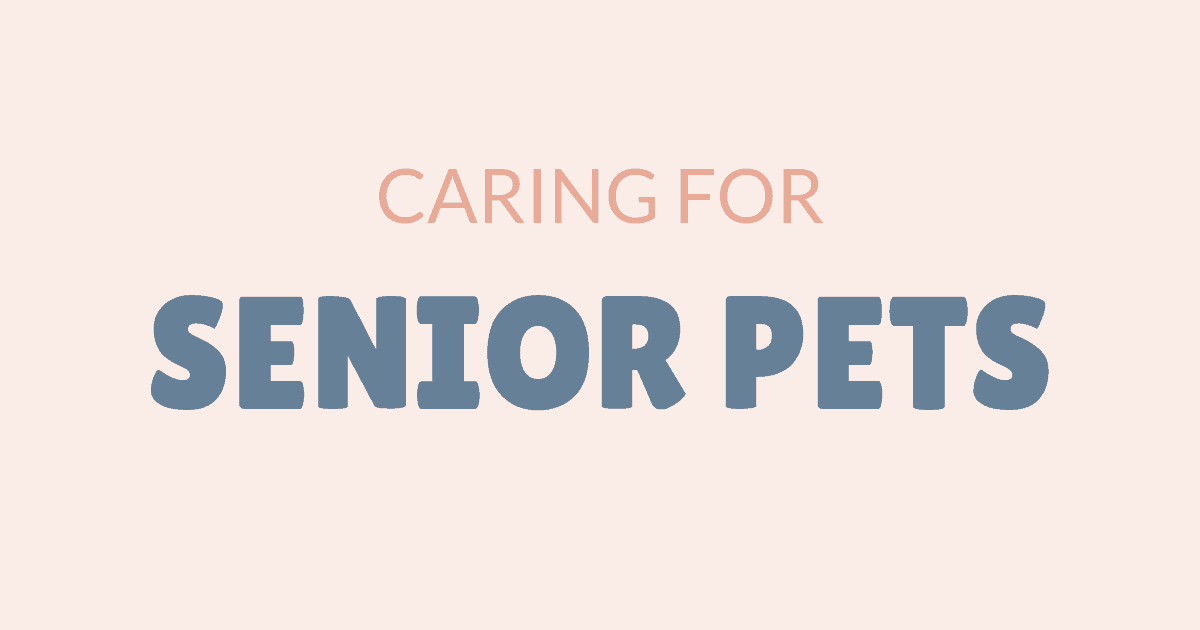 caring for senior pets