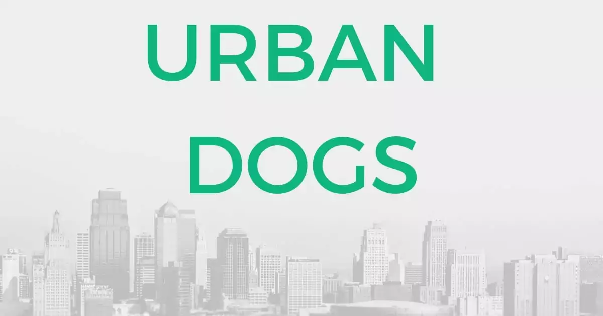 URBAN DOGS I Love Veterinary - Blog for Veterinarians, Vet Techs, Students