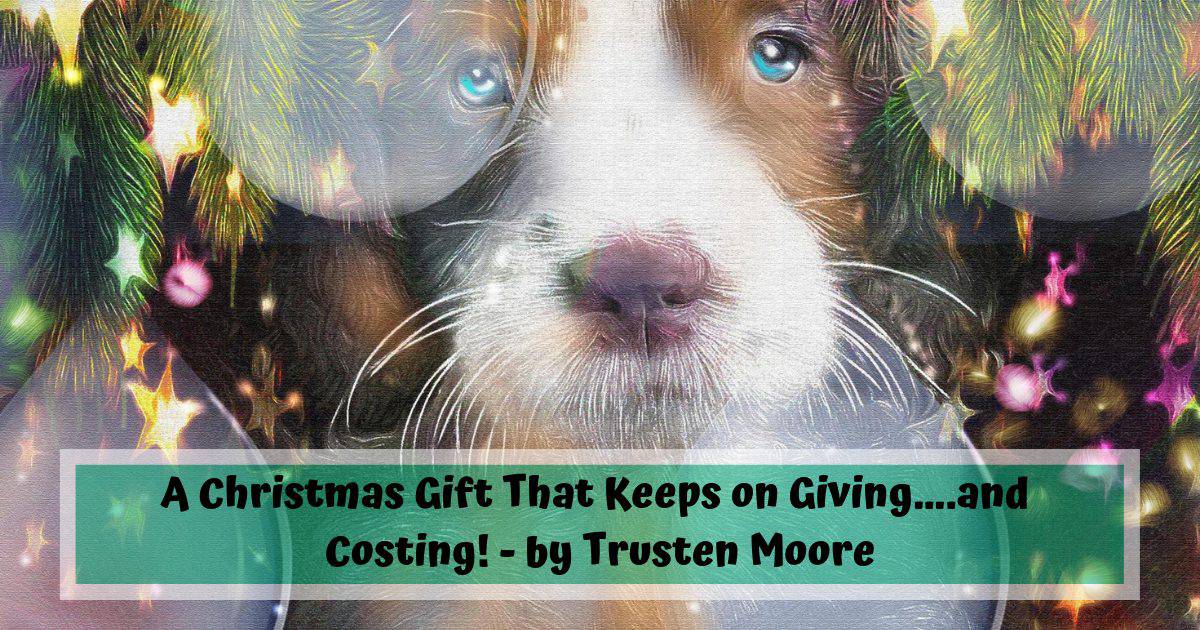 Um presente de Natal que continua dando... e custando caro! - por Trusten Moore
