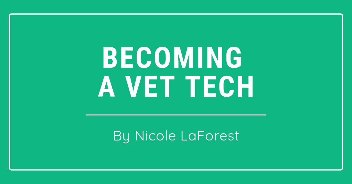 becoming a vet tech
