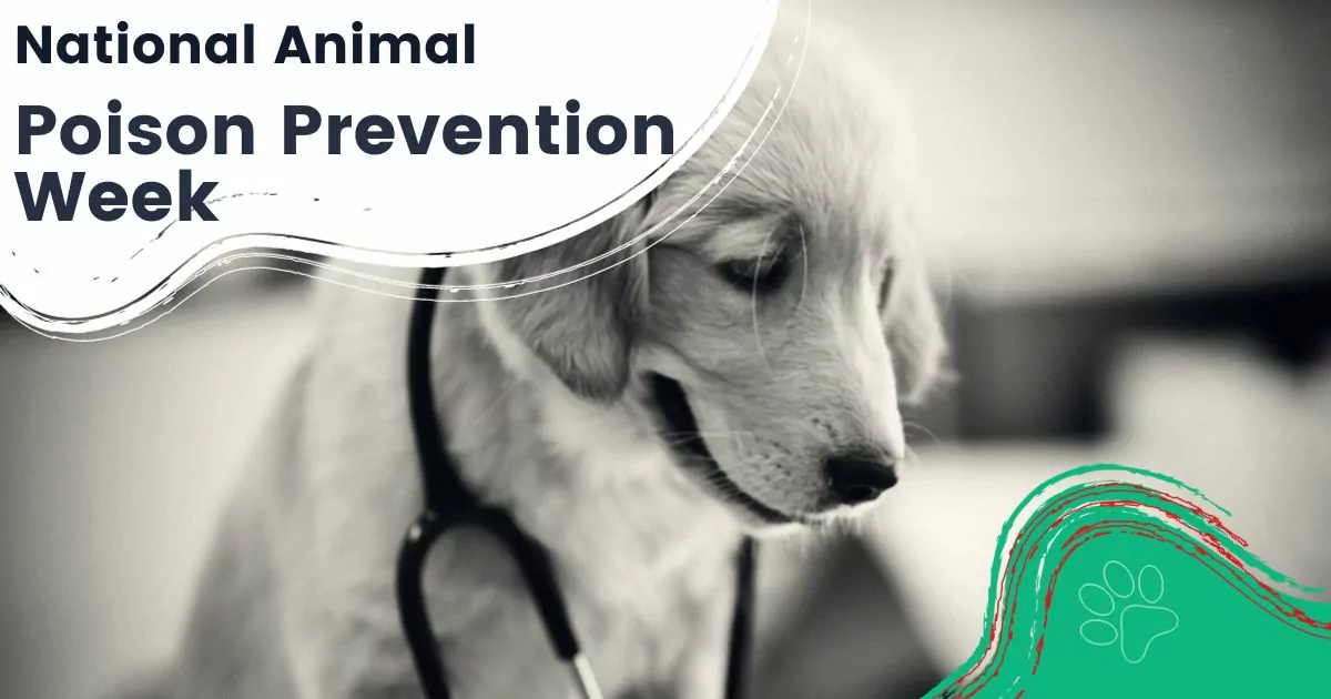 National Animal Poison Prevention Week