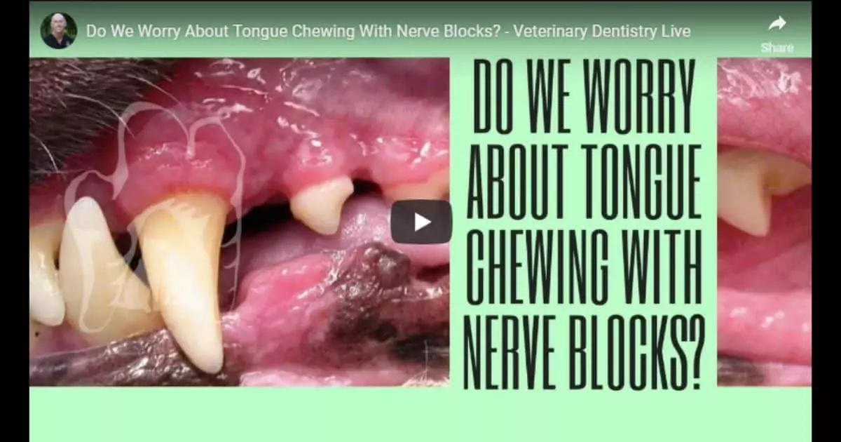 Tongue Chewing With Nerve Blocks
