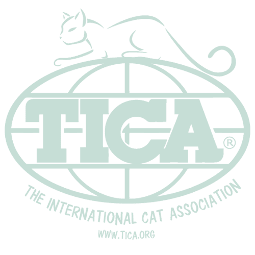 the international cat association logo