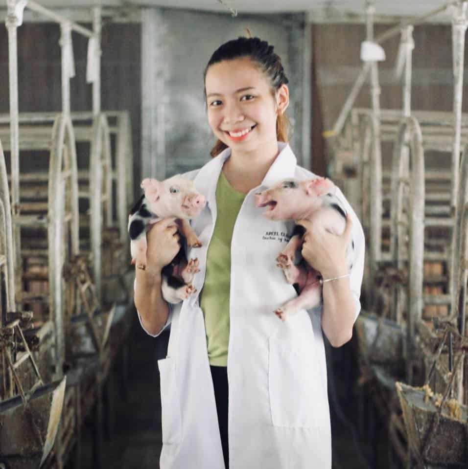 veterinary student holding two piglets