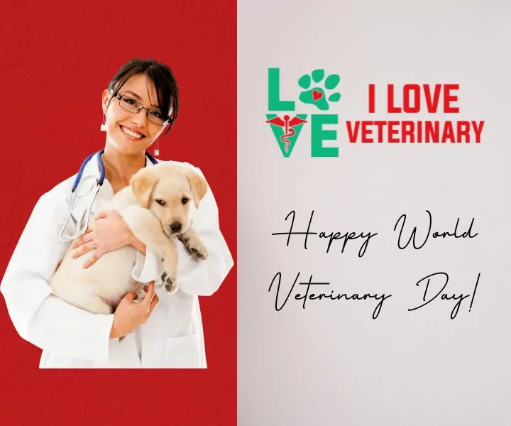 Happy World Veterinary Day