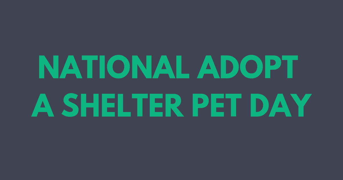 NATIONAL ADOPT A SHELTER PET DAY 1 I Love Veterinary - Blog for Veterinarians, Vet Techs, Students