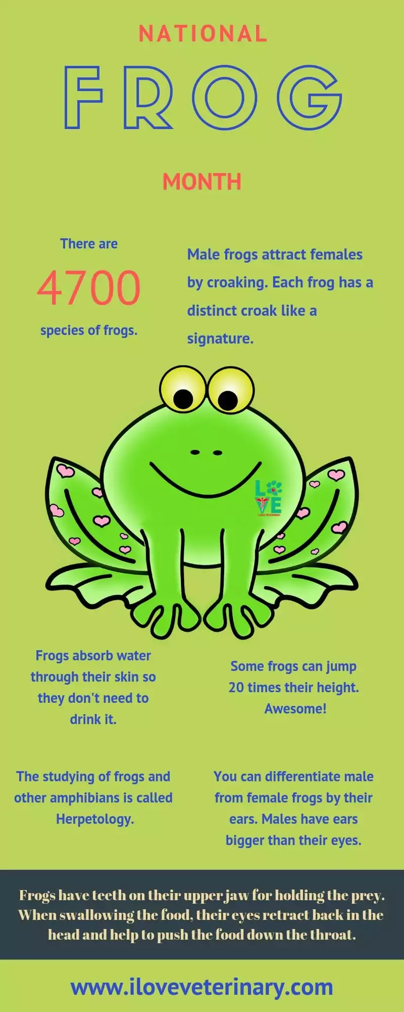 national frog month infographic
