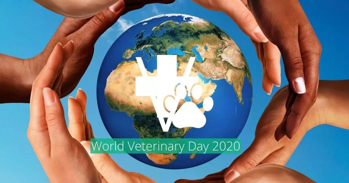 Dia Mundial do Veterinário 2020 Eu Amo Veterinário
