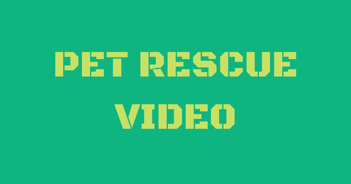 Pet Rescue Video