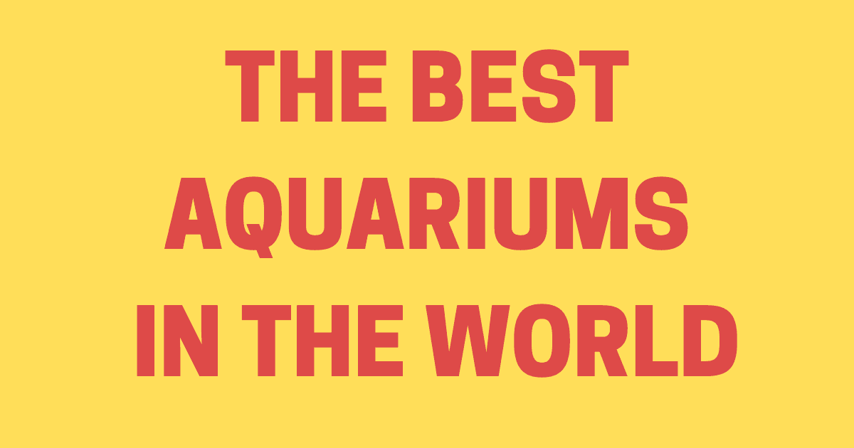 The best aquariums in the world
