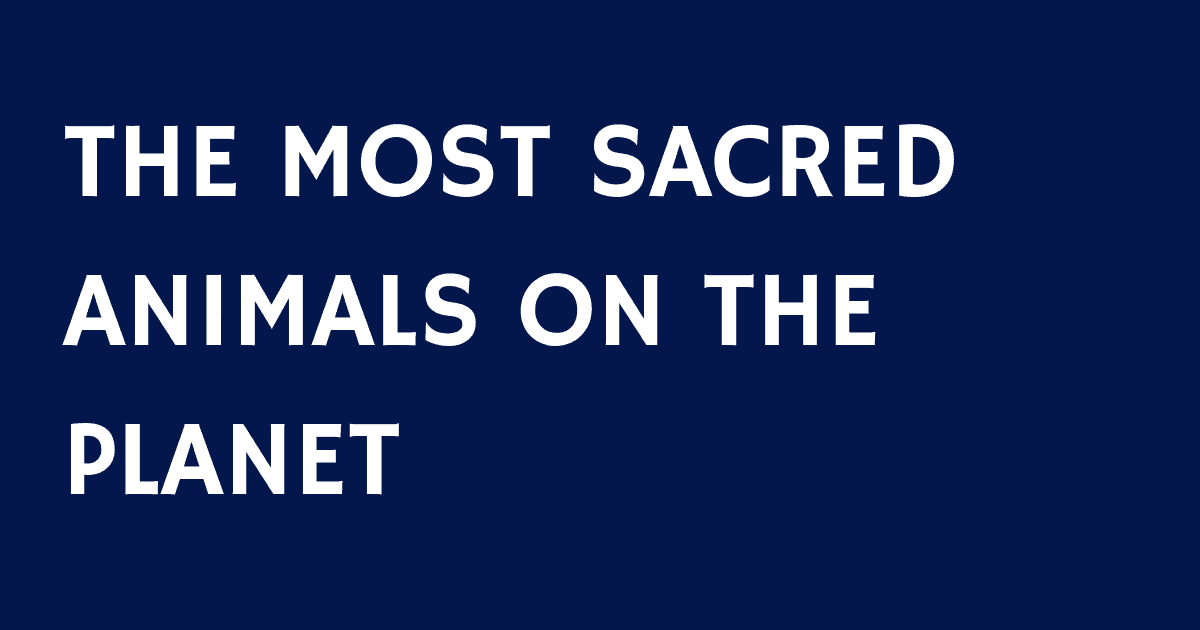 THE MOST SACRED ANIMALS ON THE PLANET
