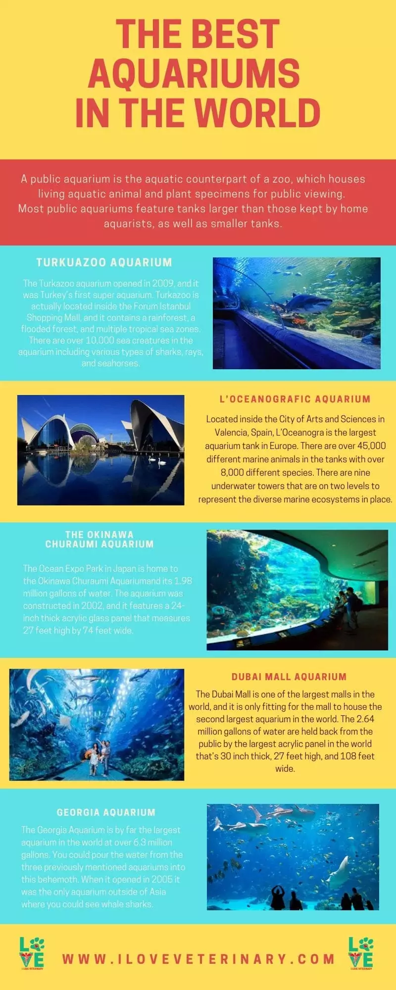 THE BEST AQUARIUMS IN THE WORLD