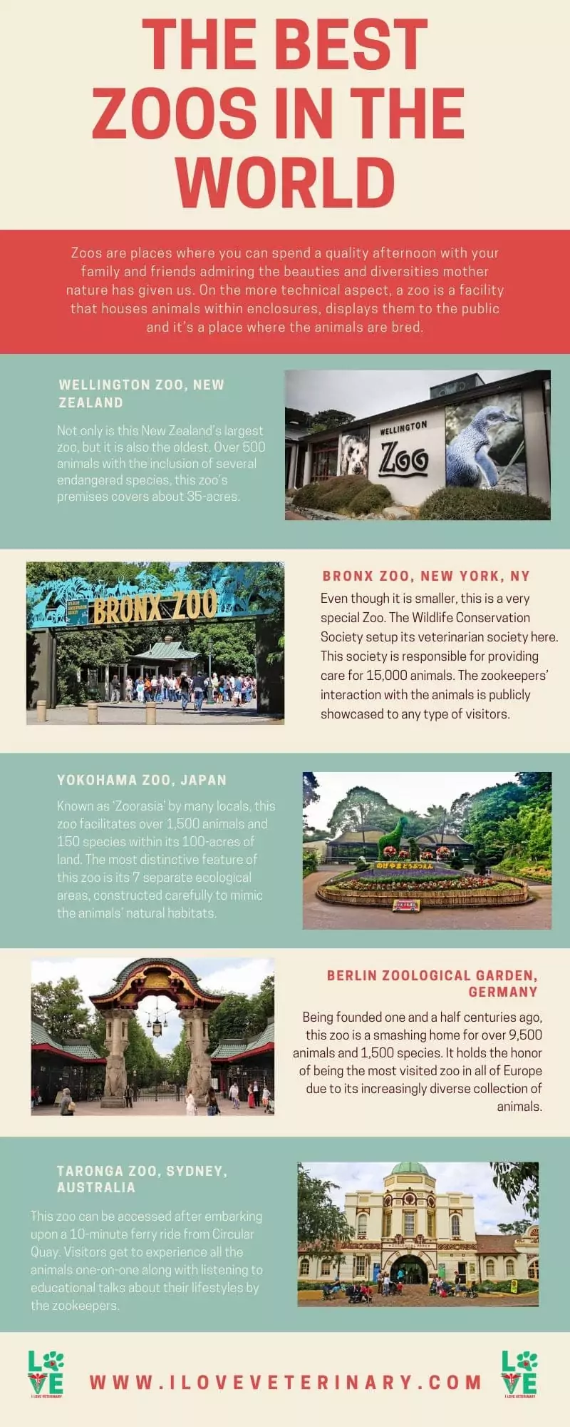 the top 5 zoos in the world I Love Veterinary - Blog for Veterinarians, Vet Techs, Students