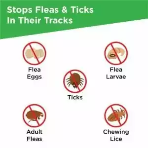 frontline plus for cts stops fleas ticks 