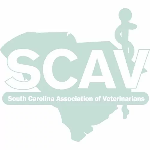 SCAV Logo 1 I Love Veterinary - Blog for Veterinarians, Vet Techs, Students