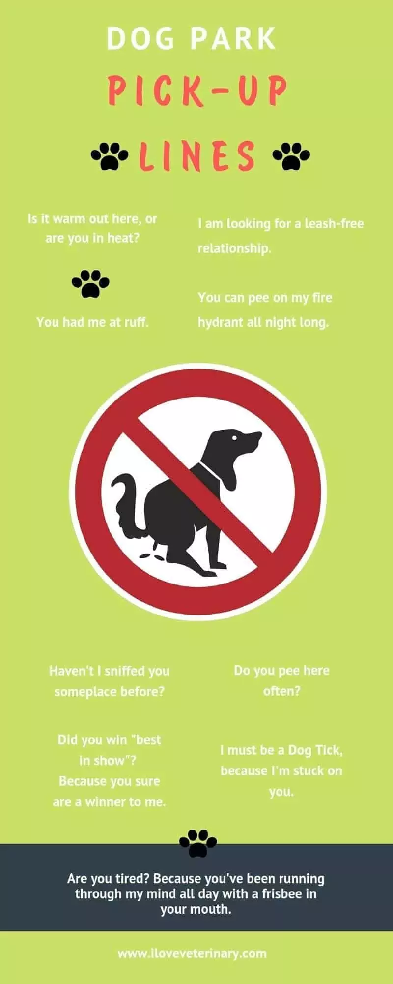 dog park pick up lines infographic I Love Veterinary