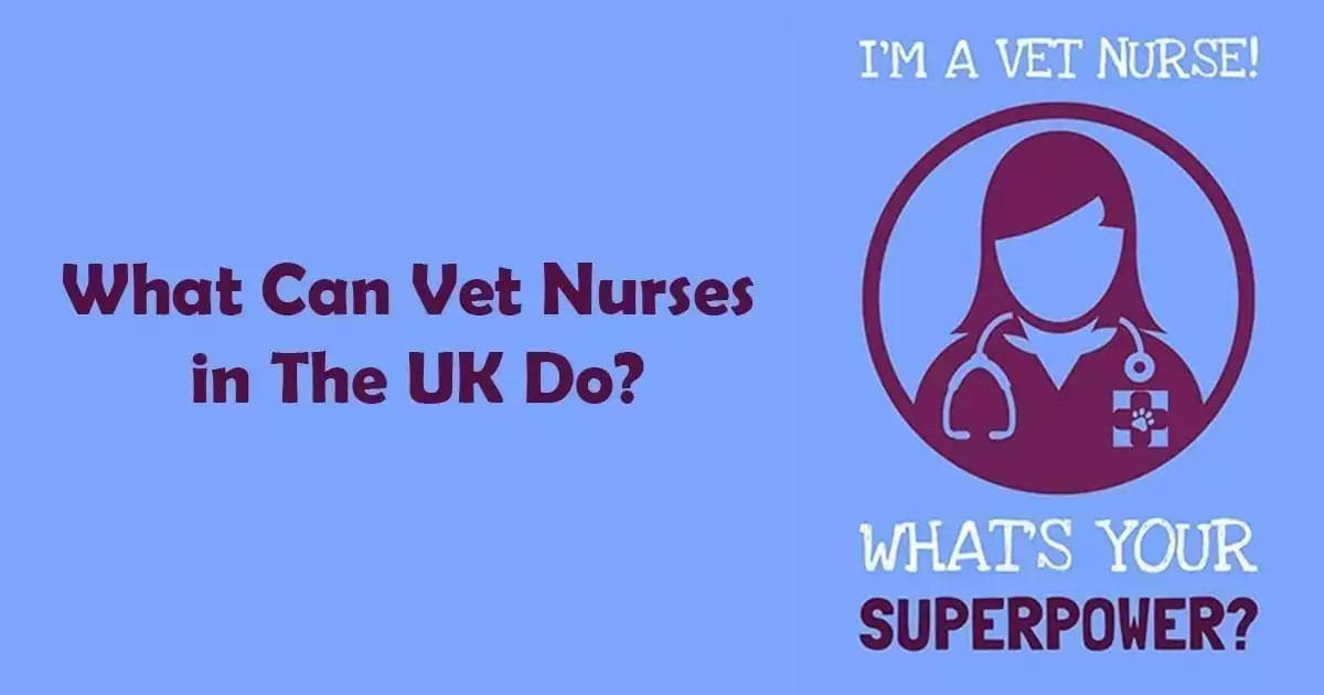 vet nurses in the UK