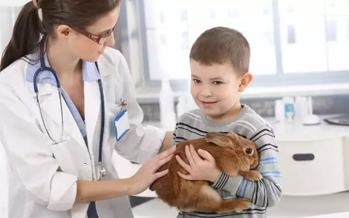 a kid holding a rabbit at the vet, I Love Veterinary