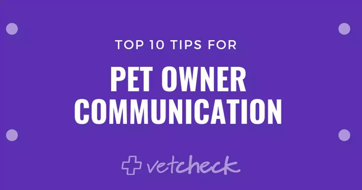 top 10 tips for pet owner communication vetcheck i love veterinary