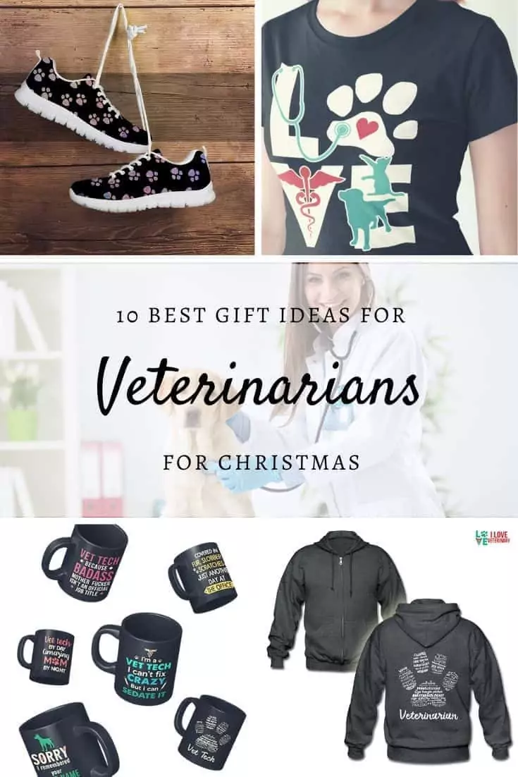 Best Gift Ideas for Veterinarians for Christmas