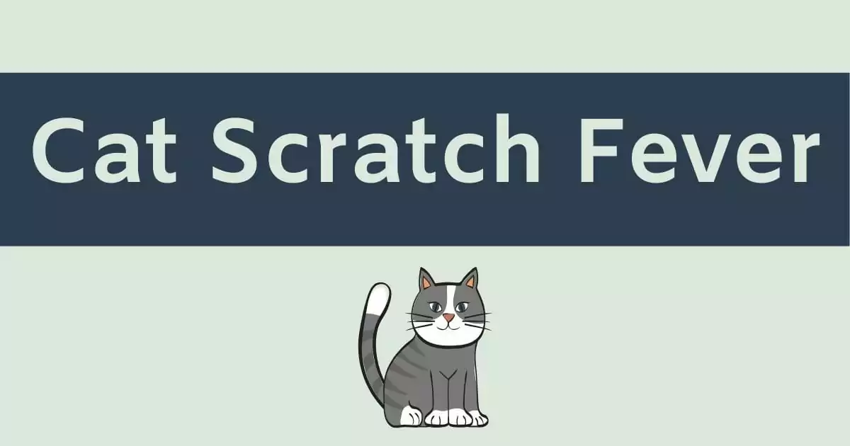Cat Scratch Fever-Infografik
