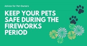 Mantenga a sus mascotas seguras durante el período de fuegos artificiales