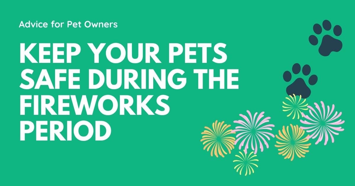Schützen Sie Ihre Haustiere während der Feuerwerksperiode