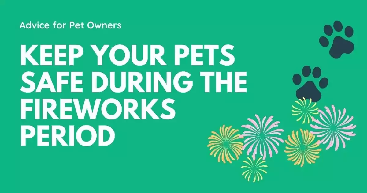 Keep your Pets safe during the fireworks period