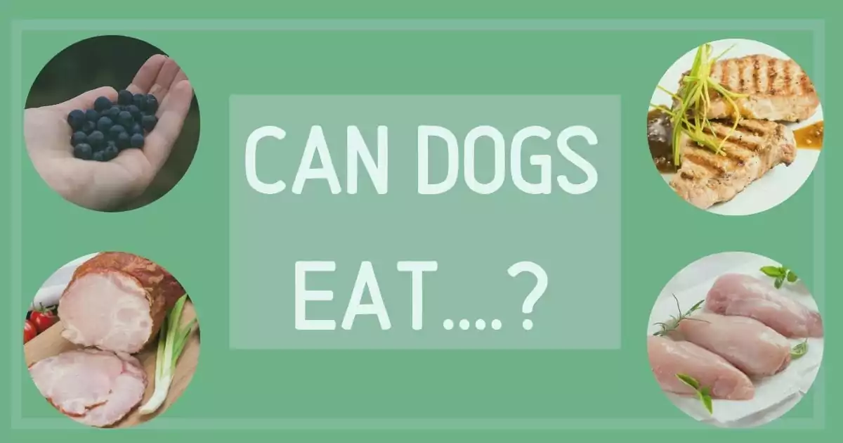 can dogs eat....