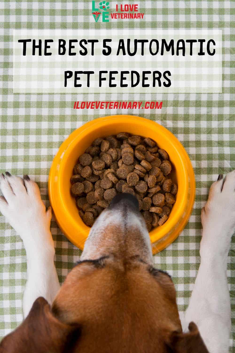 The Best 5 Automatic Pet Feeders I Love Veterinary