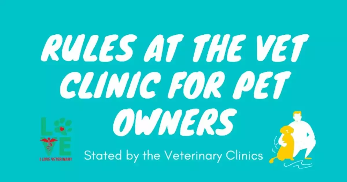 Rules at the vet Clinic infographic I Love Veterinary