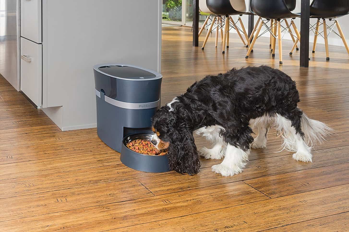 PETSAFE SMART FEED AUTOMATIC PET FEEDER FOR IPHONE & ANDROID