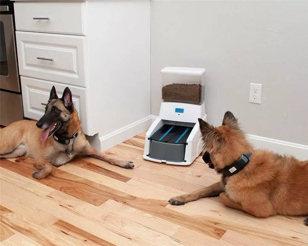 WAGZ SERVE SMART FEEDER - AUTOMATIC SMART PET & DOG FEEDER