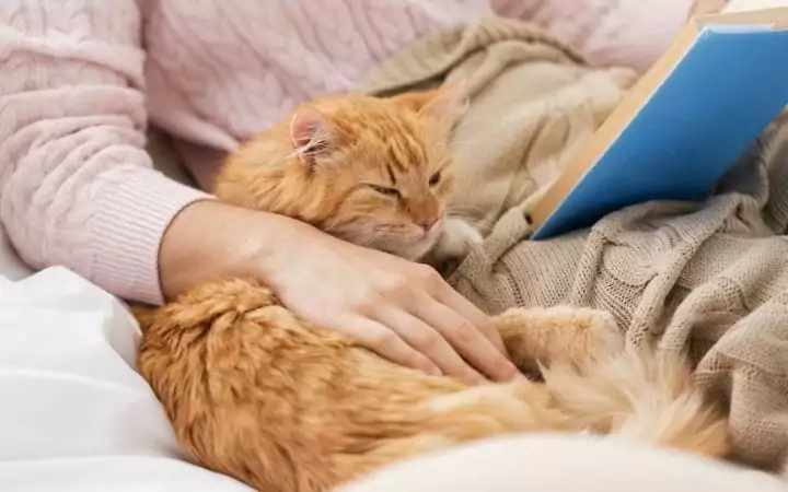 Cat with owner and a book I love veterinary