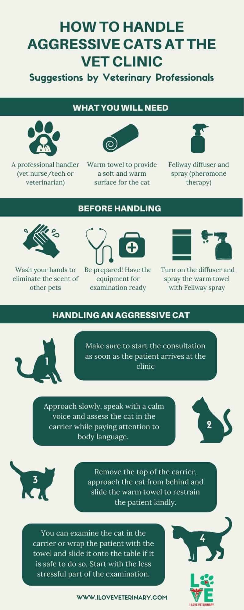 how to handle an aggressive cat