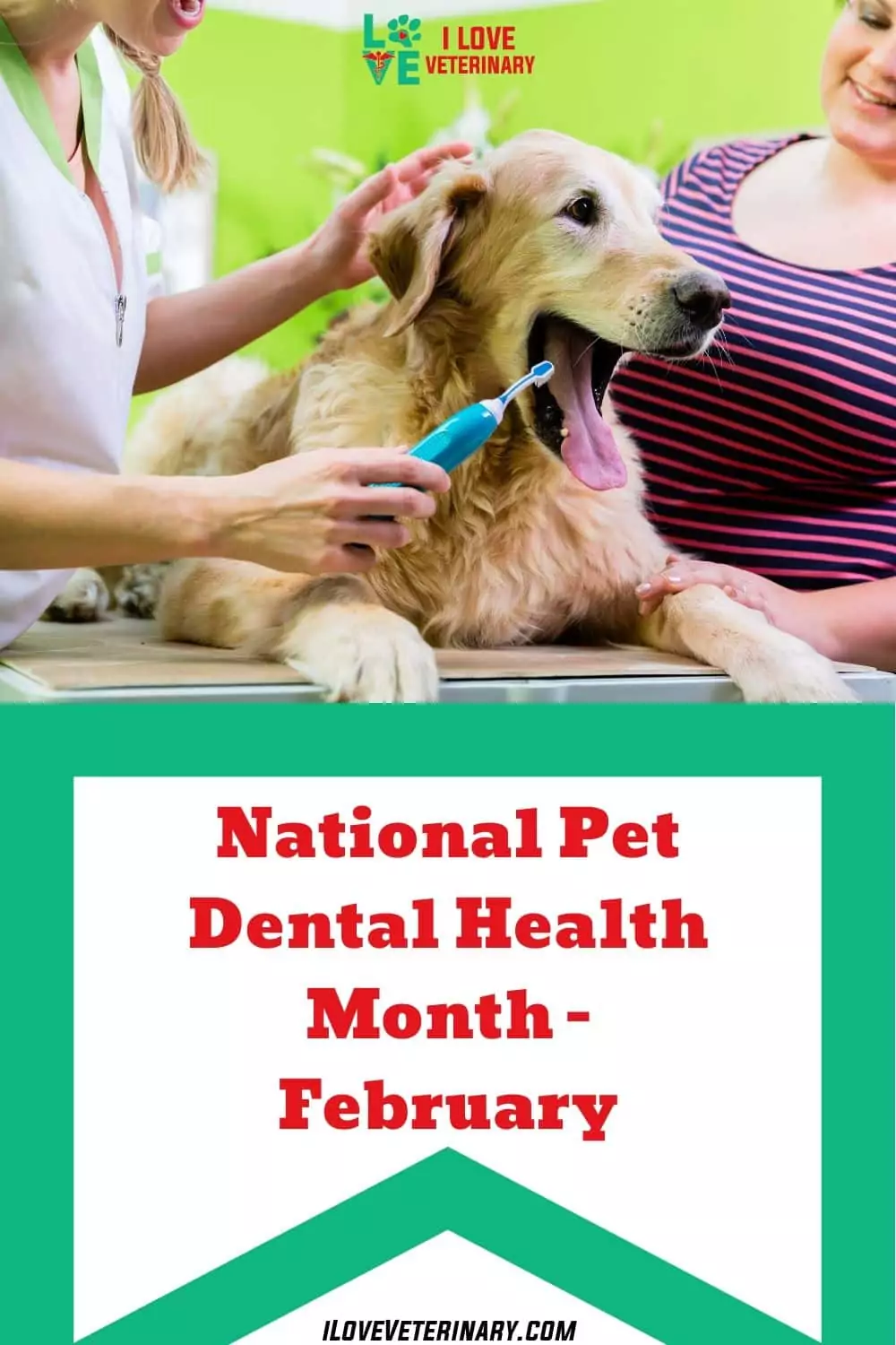 national pet dental health month February. I Love veterinary