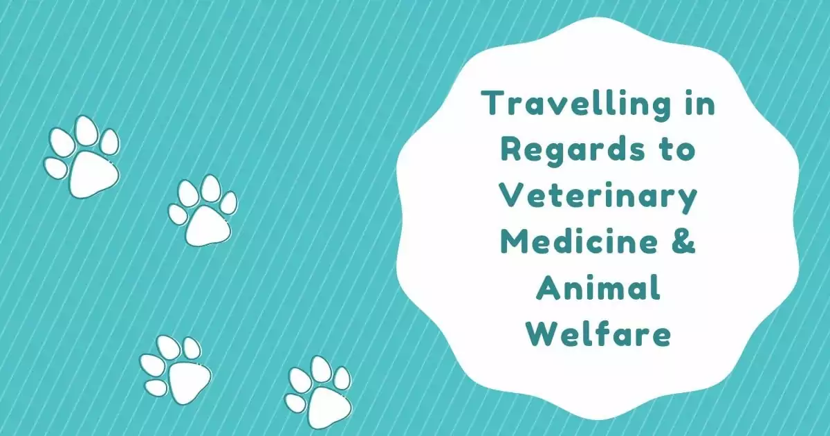 Travelling in regards to Veterinary Medicine and Animal Welfare I love veterinary